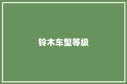 铃木车型等级