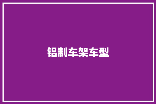 铝制车架车型