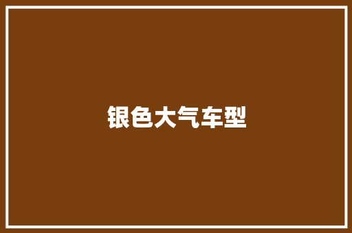 银色大气车型
