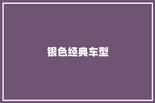 银色经典车型