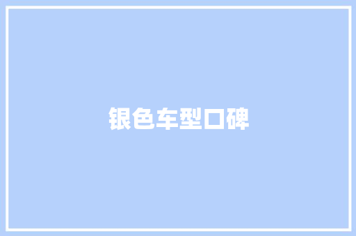 银色车型口碑
