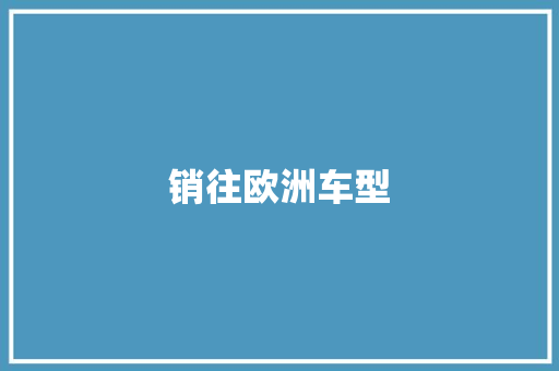销往欧洲车型 车身配件