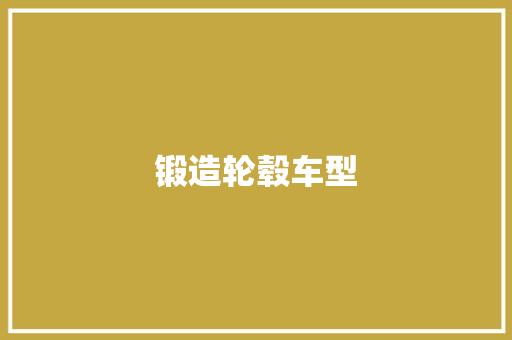 锻造轮毂车型