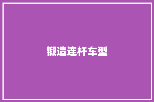 锻造连杆车型