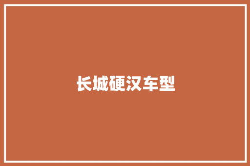 长城硬汉车型