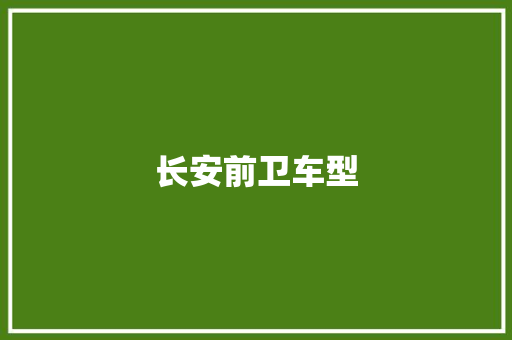 长安前卫车型