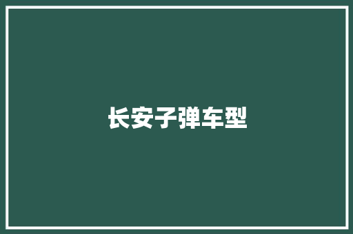 长安子弹车型