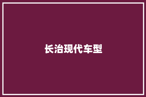 长治现代车型