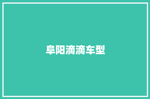 阜阳滴滴车型