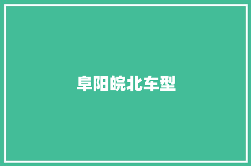 阜阳皖北车型