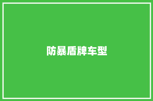 防暴盾牌车型