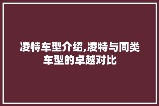 凌特车型介绍,凌特与同类车型的卓越对比