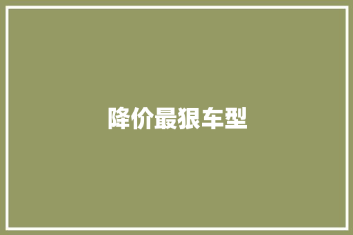 降价最狠车型