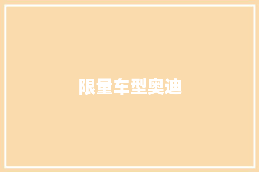 限量车型奥迪
