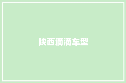 陕西滴滴车型