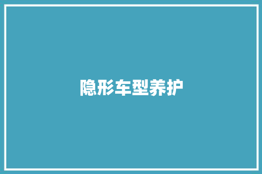 隐形车型养护