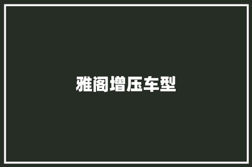 雅阁增压车型