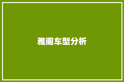 雅阁车型分析