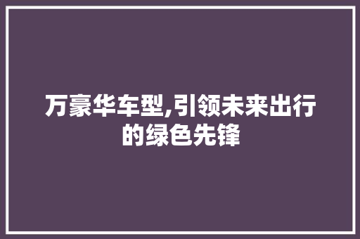 万豪华车型,引领未来出行的绿色先锋