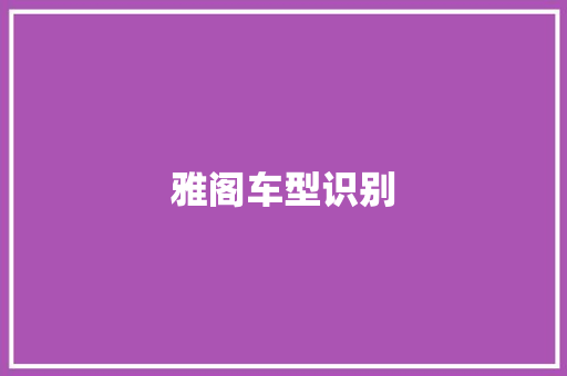 雅阁车型识别