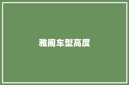 雅阁车型高度