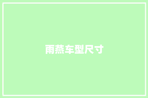 雨燕车型尺寸