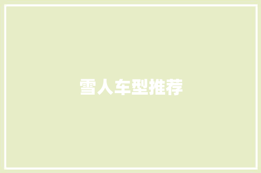 雪人车型推荐