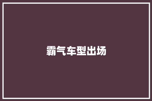 霸气车型出场