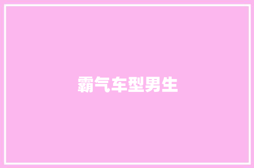 霸气车型男生