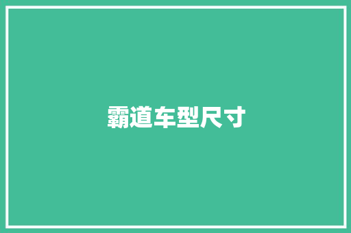 霸道车型尺寸