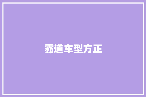 霸道车型方正