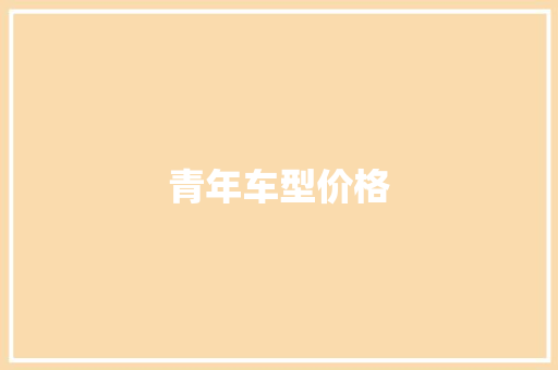 青年车型价格
