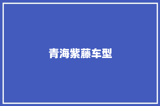 青海紫藤车型 汽车配件