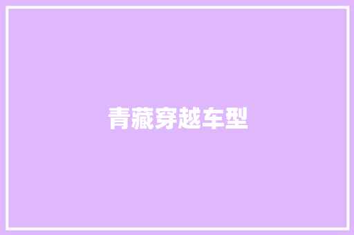 青藏穿越车型