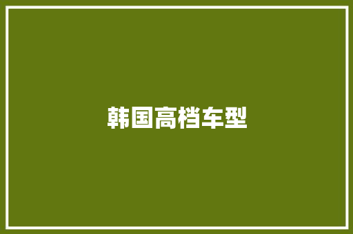 韩国高档车型