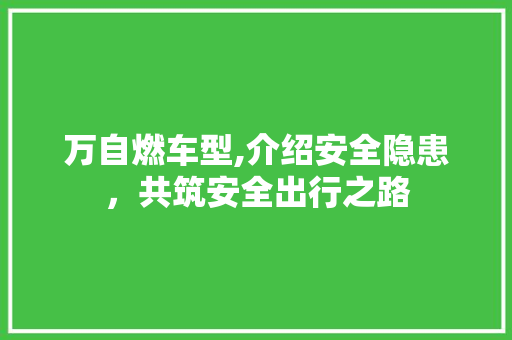 万自燃车型,介绍安全隐患，共筑安全出行之路