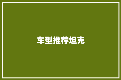 车型推荐坦克