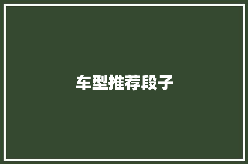车型推荐段子
