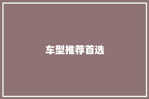 车型推荐首选