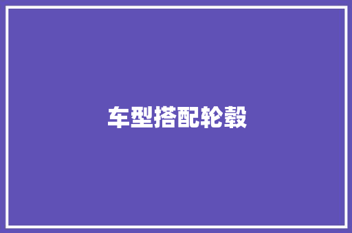 车型搭配轮毂