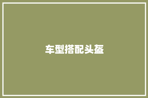 车型搭配头盔