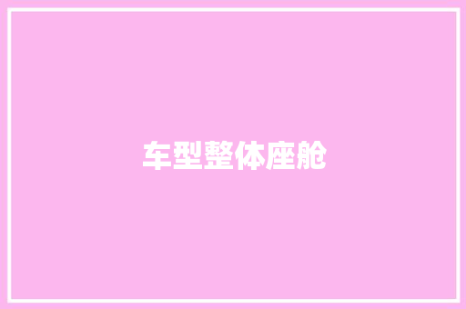 车型整体座舱