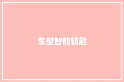 车型智能钥匙