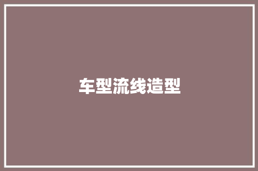 车型流线造型