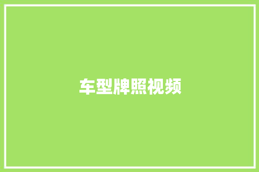 车型牌照视频