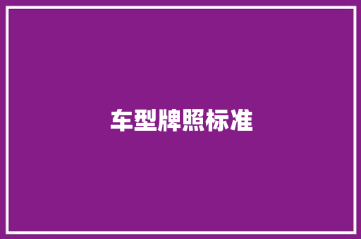 车型牌照标准