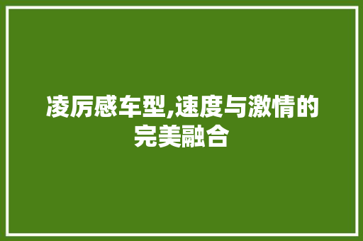 凌厉感车型,速度与激情的完美融合