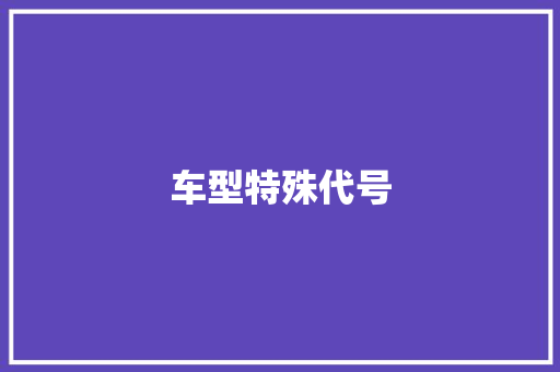 车型特殊代号