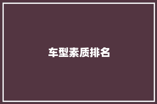 车型素质排名