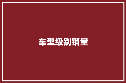车型级别销量